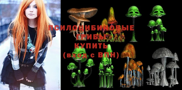 крисы Балахна