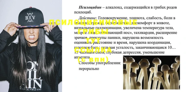 дмт Баксан