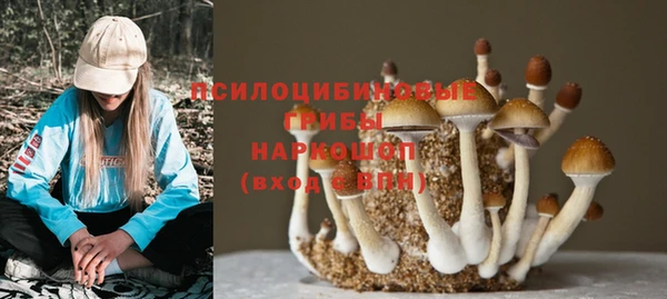 крисы Балахна