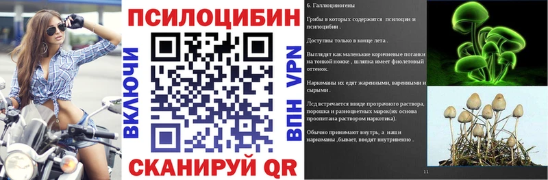 Псилоцибиновые грибы Psilocybe  цена   Мариинский Посад 